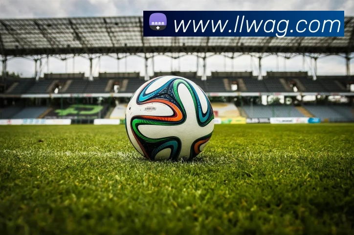 App Interface Preview