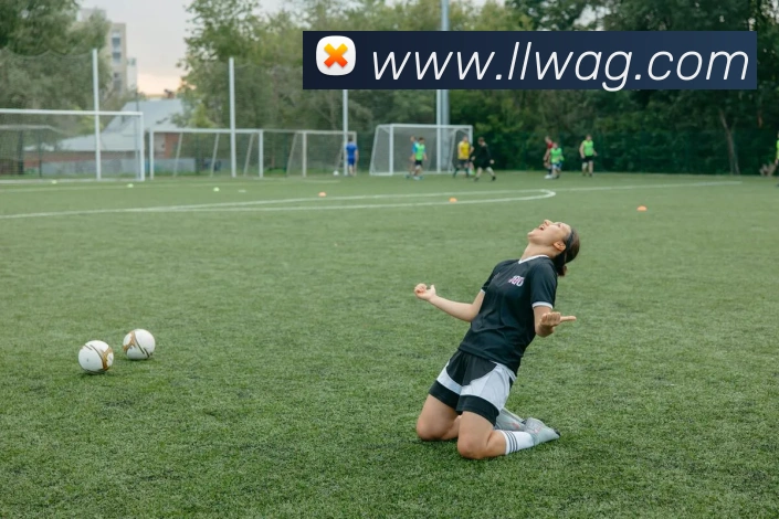 ag官网APP 封面图